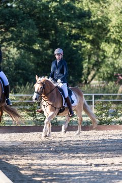 Bild 13 - Pony Akademie Turnier